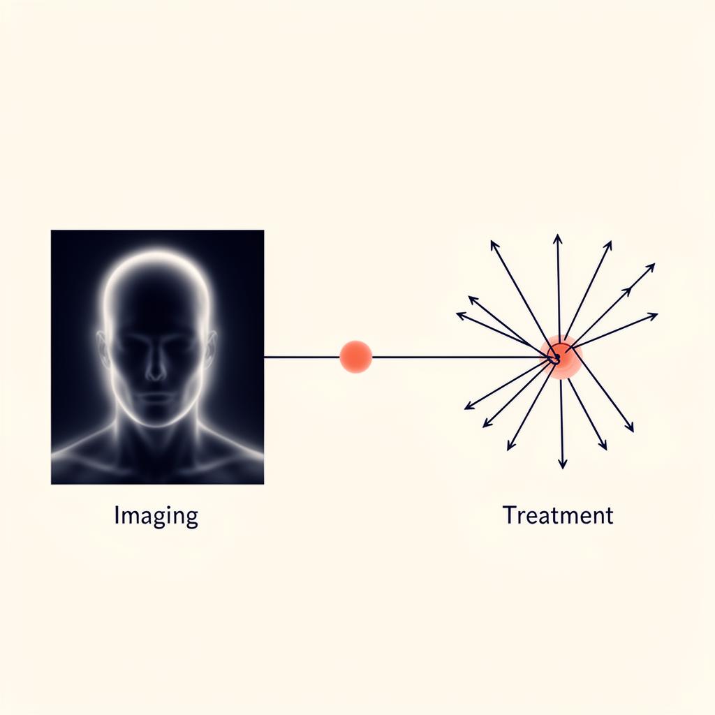 Two-step theranostic concept: image then treat